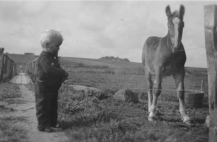 Egil og Borchers føl